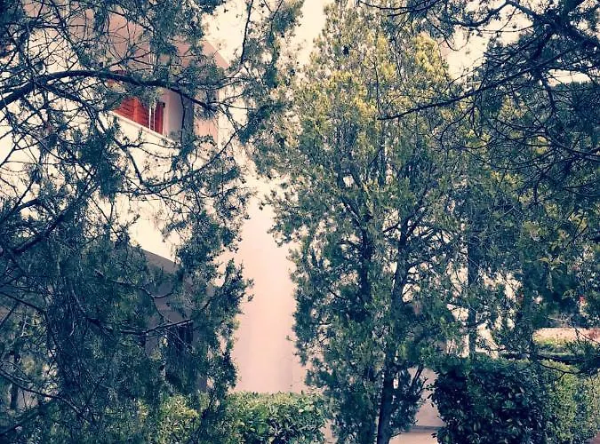 Casa Andromeda * ガリポリ